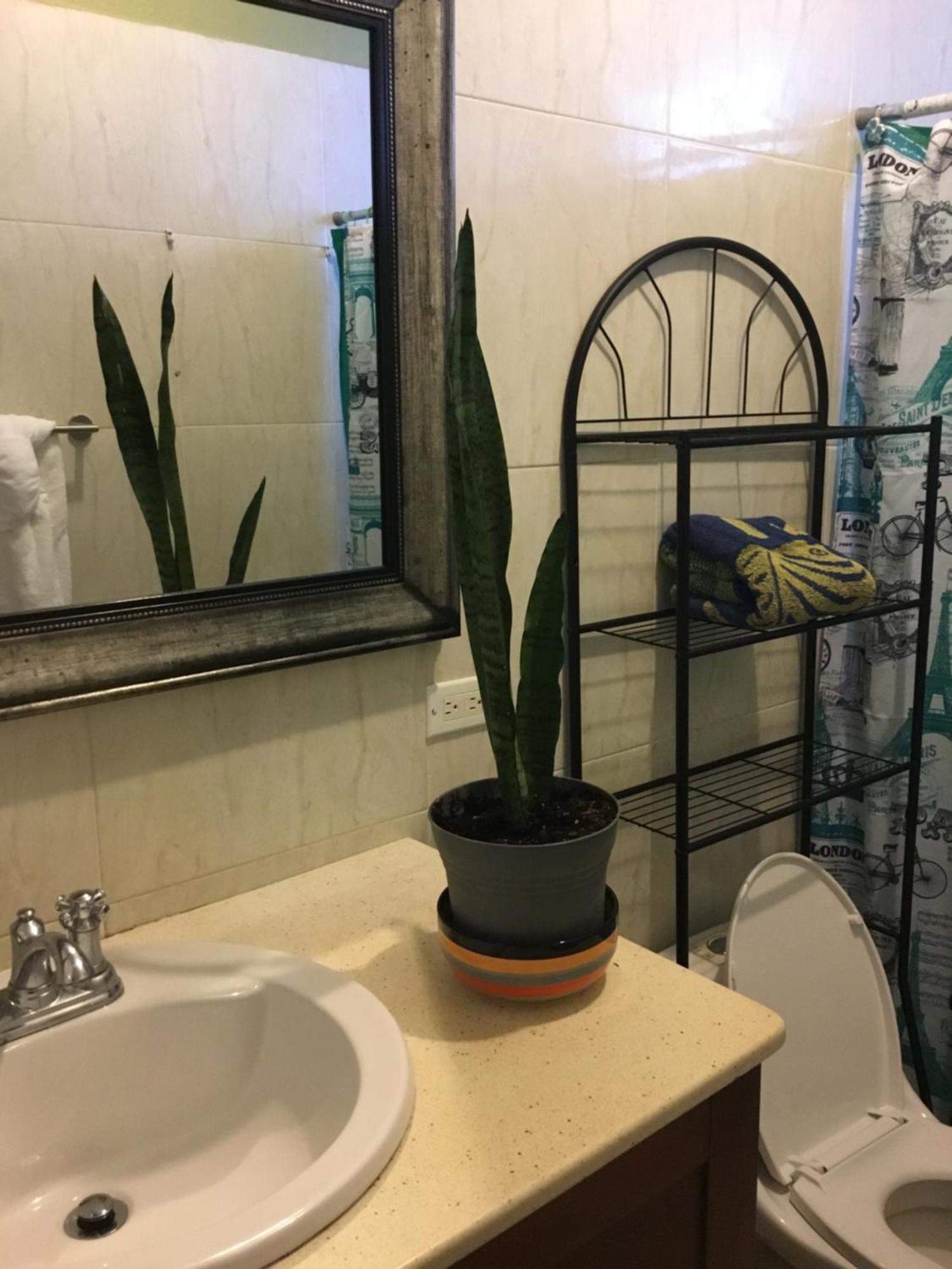 Abigail'S Spectacular 2 Bedrooms-Entire Apartment Wesley Will Exterior foto